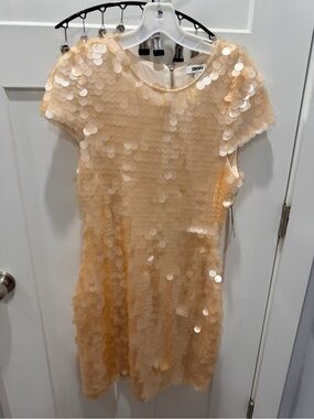 NWT DKNY Paillettes Sequin Dress Small Champagne Chino Khaki MSRP $199